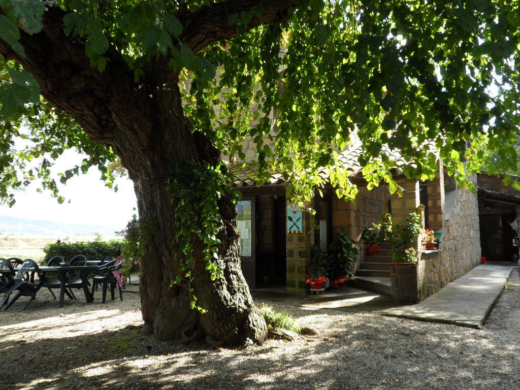 Mola Solis Hotel Civitella dʼAgliano Exterior foto