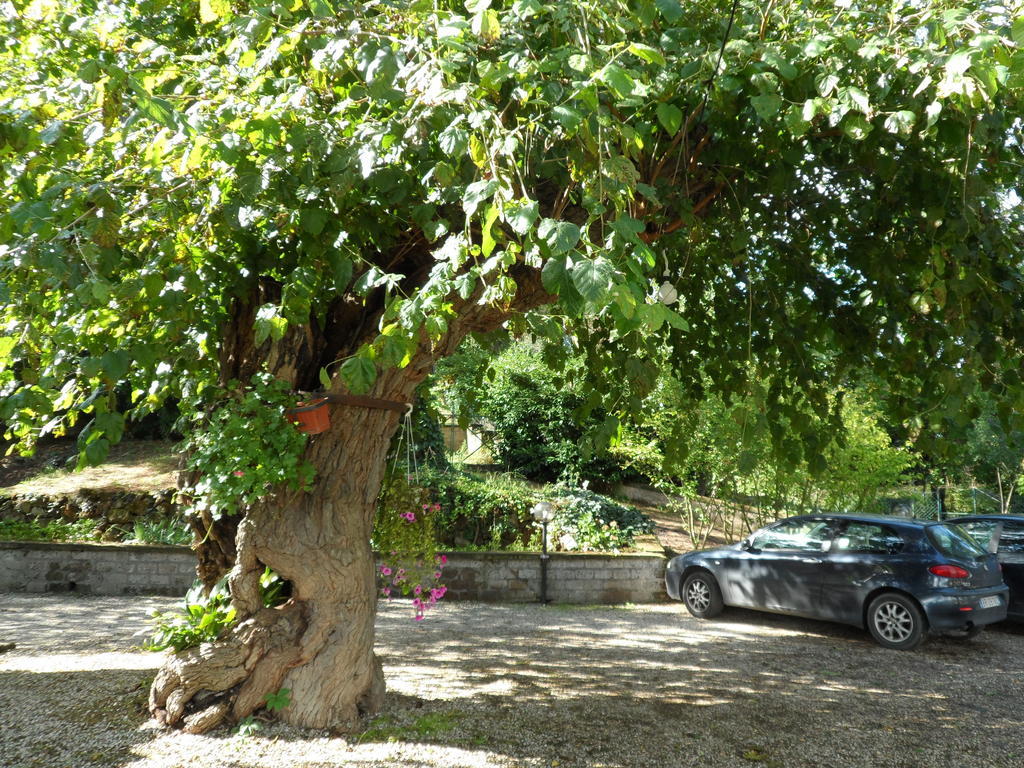 Mola Solis Hotel Civitella dʼAgliano Exterior foto