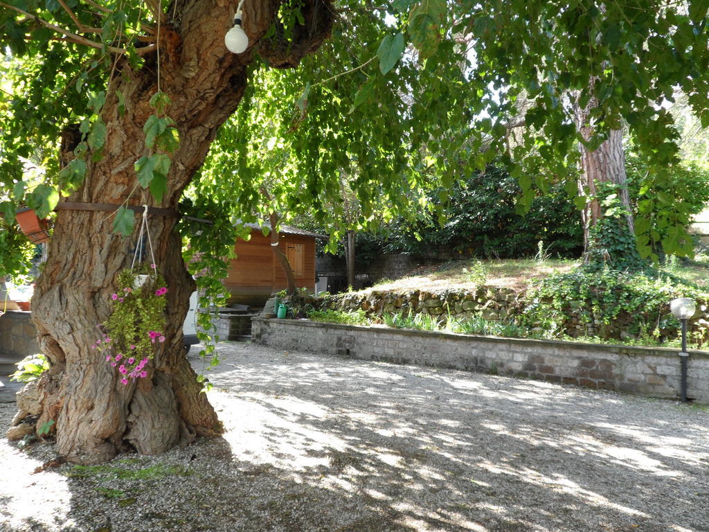 Mola Solis Hotel Civitella dʼAgliano Exterior foto